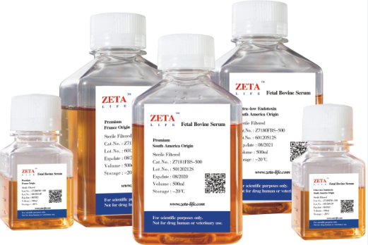 Fetal Bovine Serum ,South America  (Z7181FBS-500)