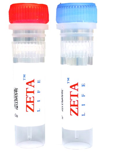 Annexin V-FITC/PI apoptosis assay kit