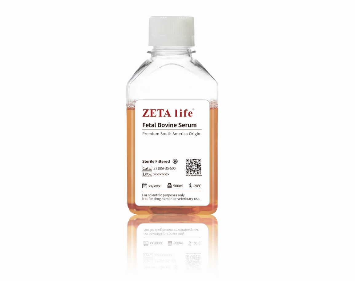 Fetal Bovine Serum  Brazil OriginZ7185FBS-500)