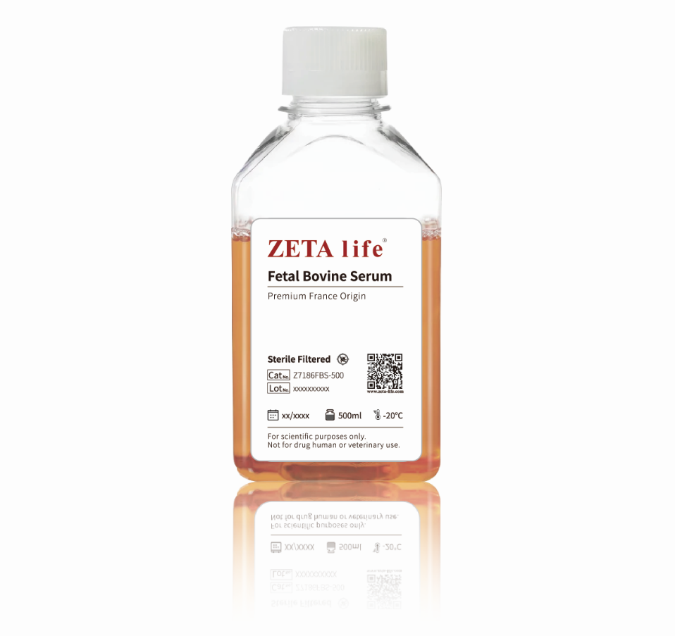 Fetal Bovine Serum,France Origin (Z7186FBS-500)