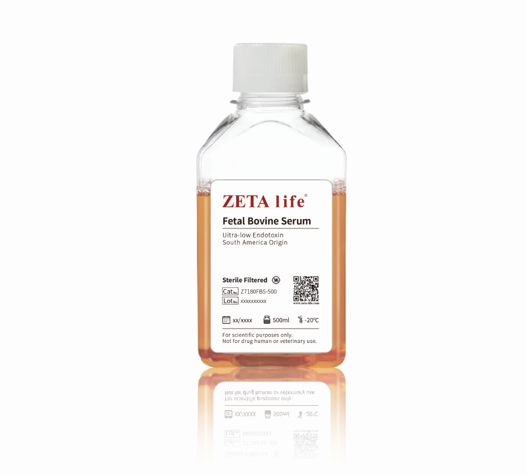 Fetal Bovine Serum Ultra-low EndotoxinZ7180FBS-500