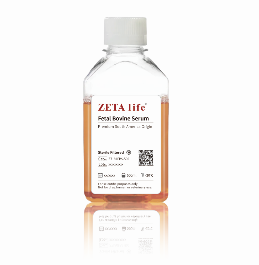 ZETA life Uruguay Fetal Bovine Serum (Z7181FBS)