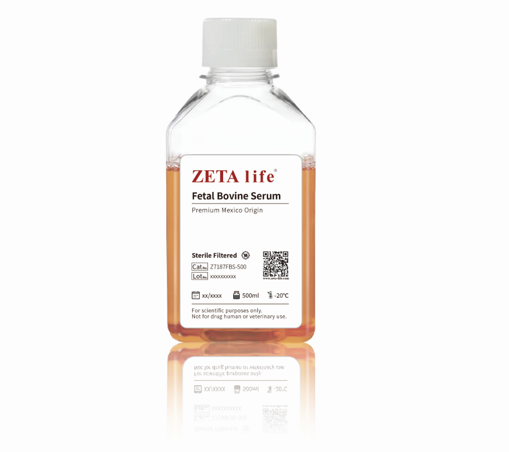  Standard South American Fetal Bovine  Serum Z7187